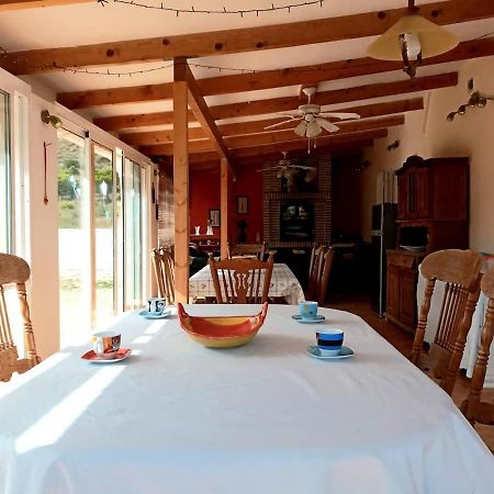 Recovery Mountain Homestay Alicante Exterior photo